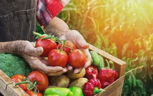 政策红利与市场机遇 2020农业保险补贴与先正达科创上市对蔬菜产业的影响