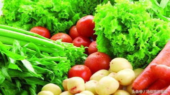 史上最全蔬菜种植时间表（按季节与月份分类，建议收藏）