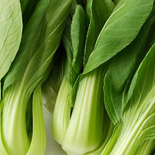 唤醒餐桌的绿意 蔬菜拍摄的艺术与技巧