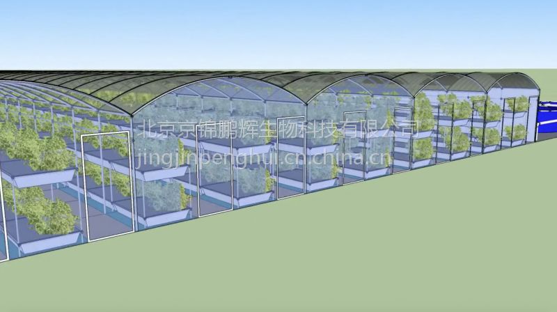 新型农业园区 大棚鱼菜共生，工厂化循环种养引领蔬菜水产品批发新篇章