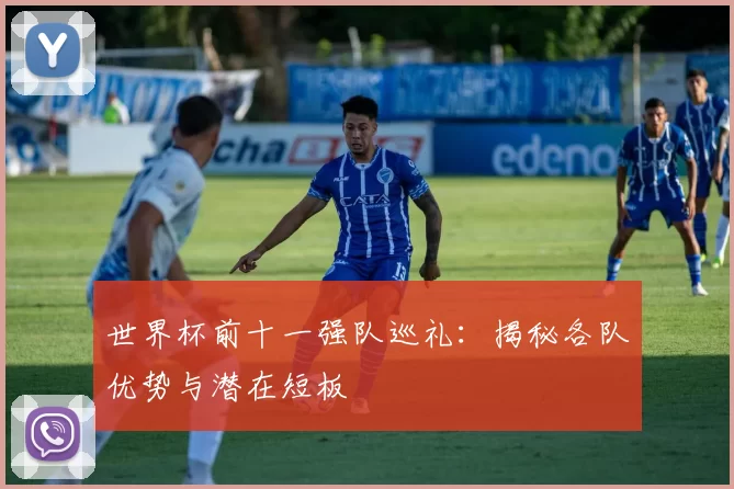 世界杯前十一强队巡礼：揭秘各队优势与潜在短板