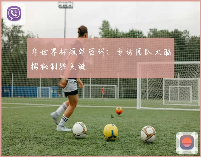 年世界杯冠军密码:专访团队大脑揭秘制胜关键
