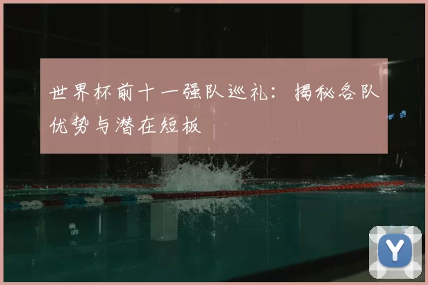 世界杯前十一强队巡礼：揭秘各队优势与潜在短板