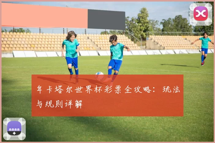 年卡塔尔世界杯彩票全攻略:玩法与规则详解
